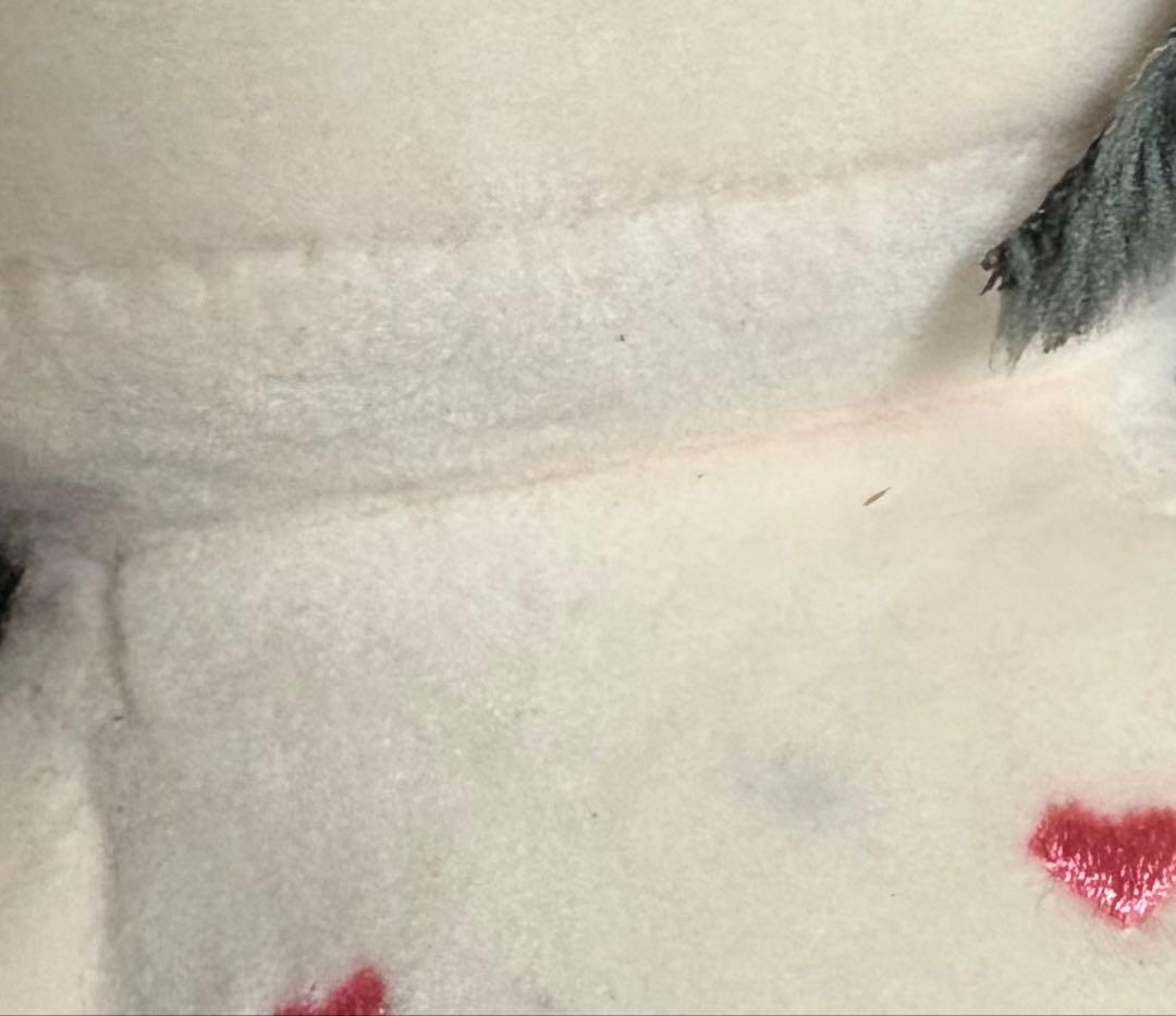 陳情令 魔道祖師 ぬいぐるみ衣装付き 2体セット（馬は付いていません） 非公式