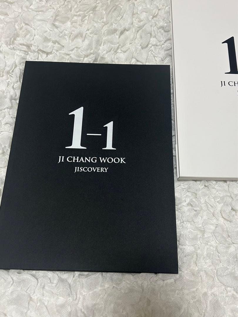 チチャンウク JI CHANG WOOK 1-1 JISCOVERY DVD
