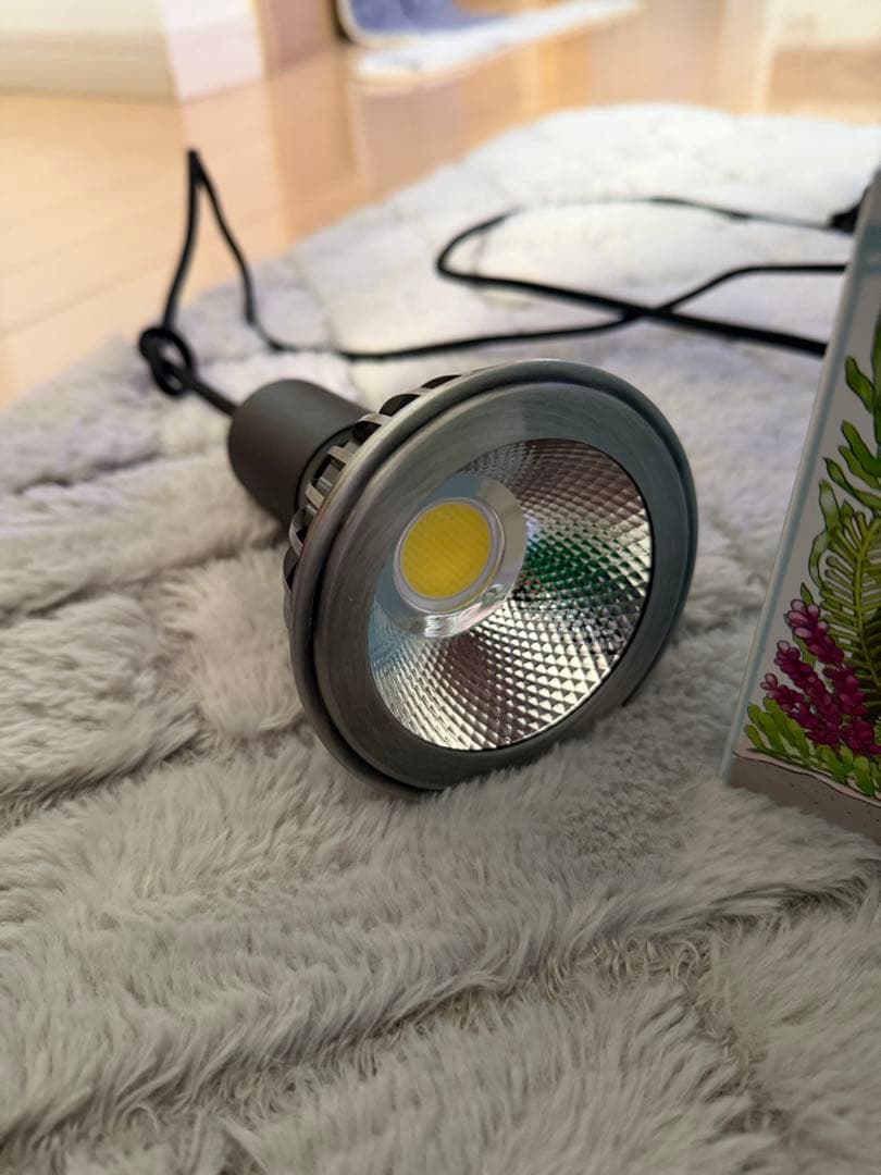 SUSANOO 10W LED ソケット付きです。