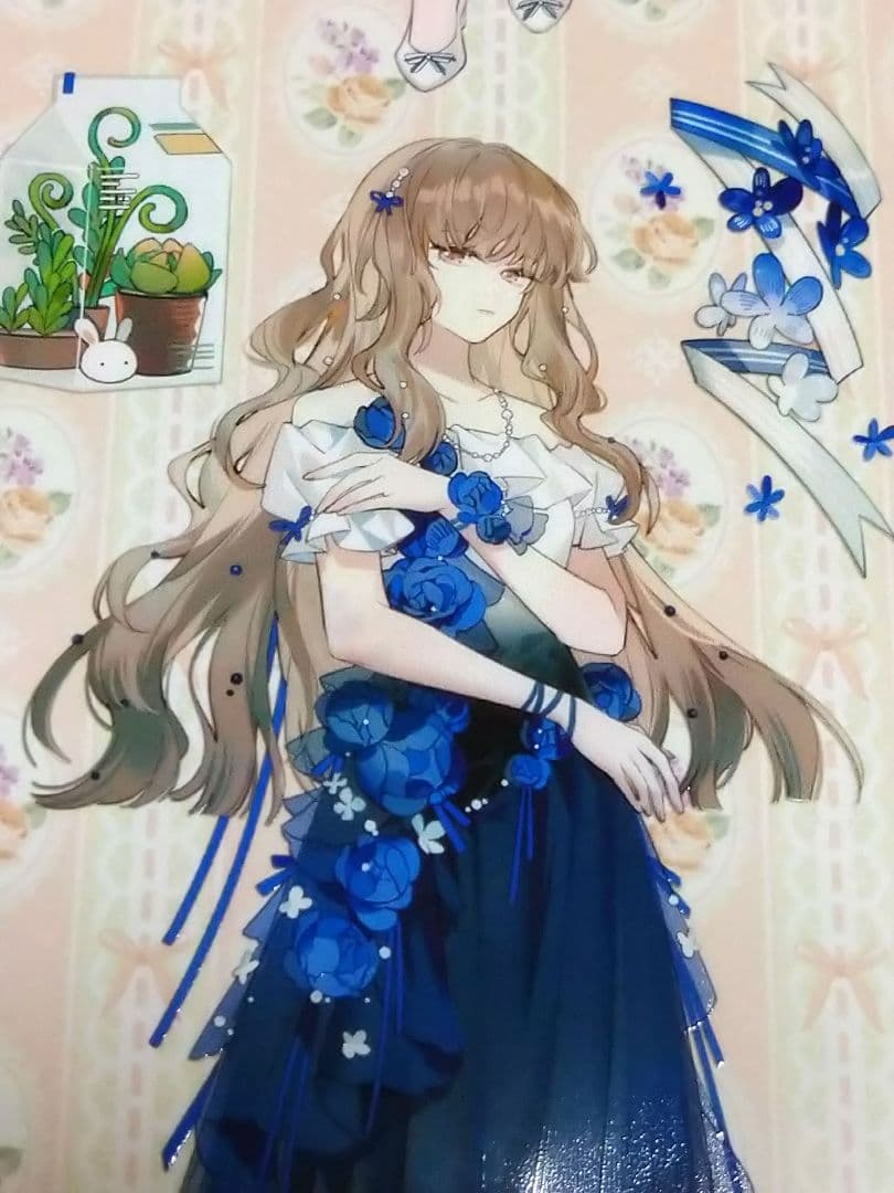 J515＃佳人(PET)FLAK切り売り海外人物マステ女の子