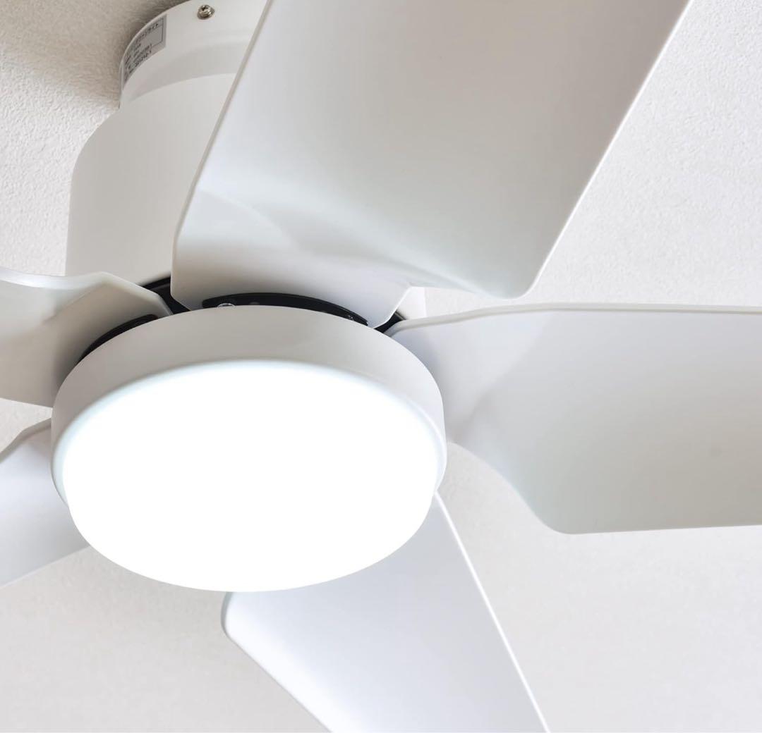 シーリングファンライト Finia（フィニア）