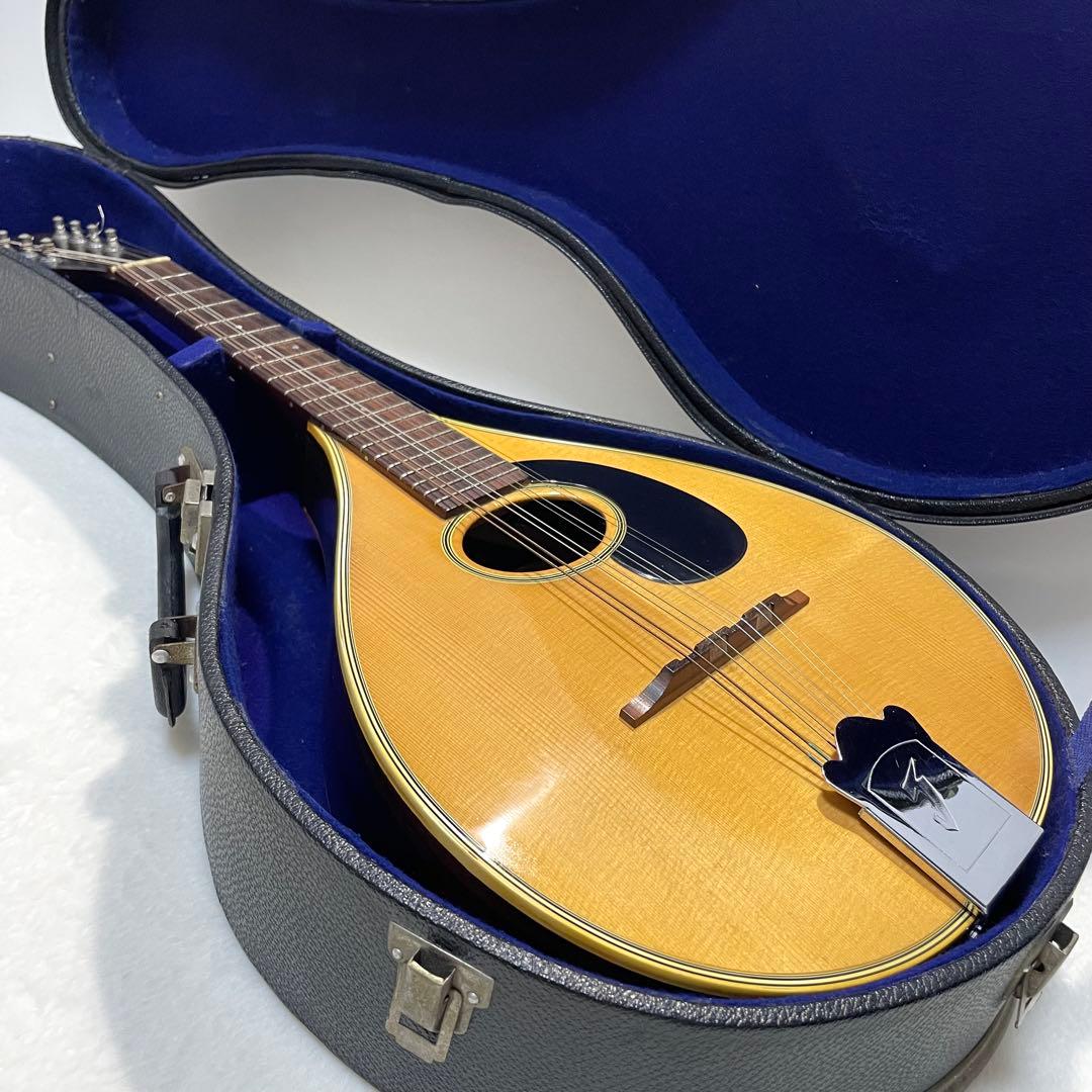 希少 美品 JUMBO 田原楽器 フラットマンドリン