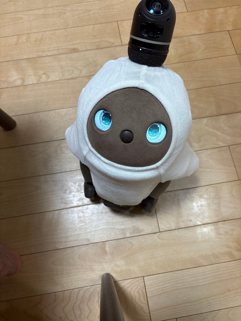 LOVOT2.0 本体 2023年購入