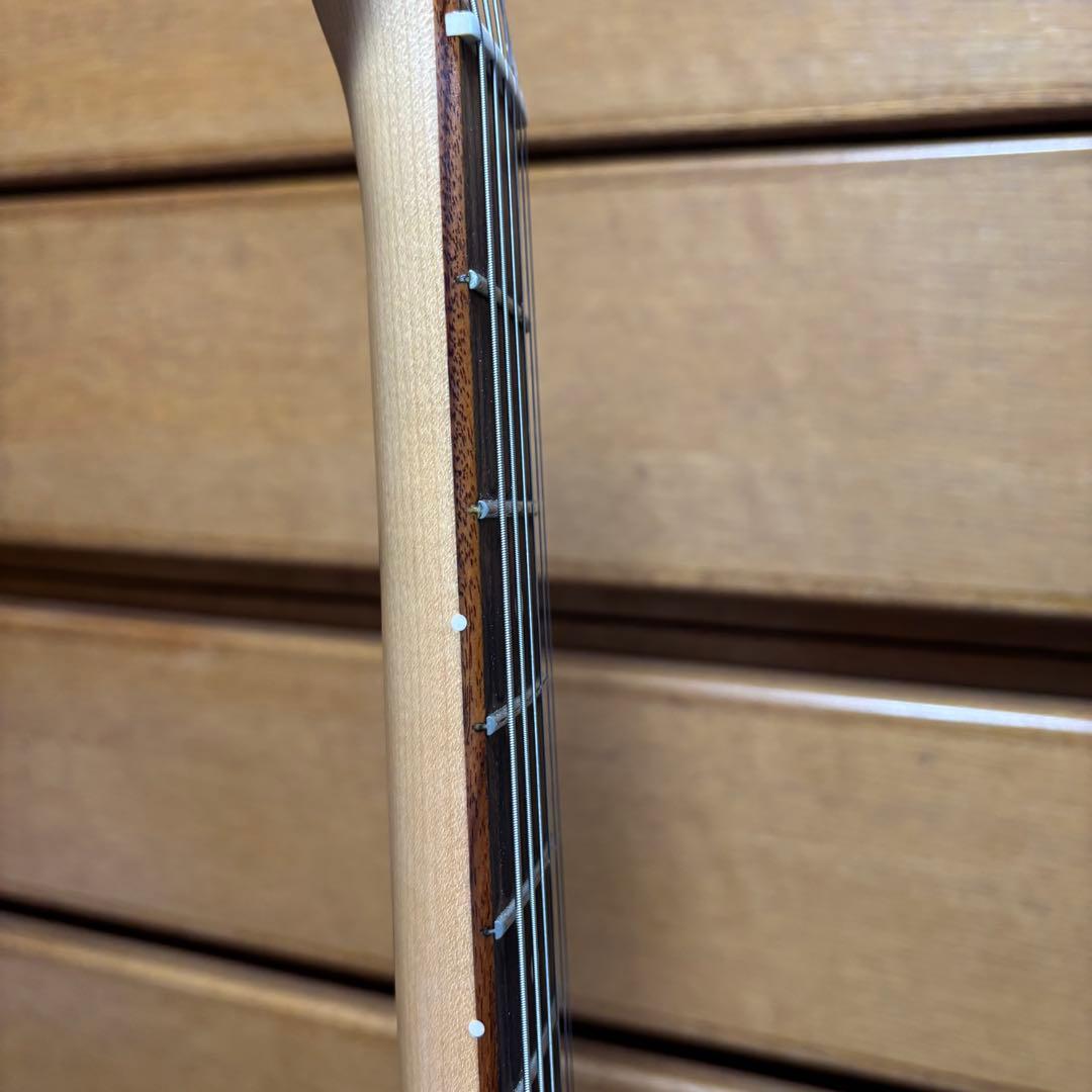 Fender Mexico ムスタング P90