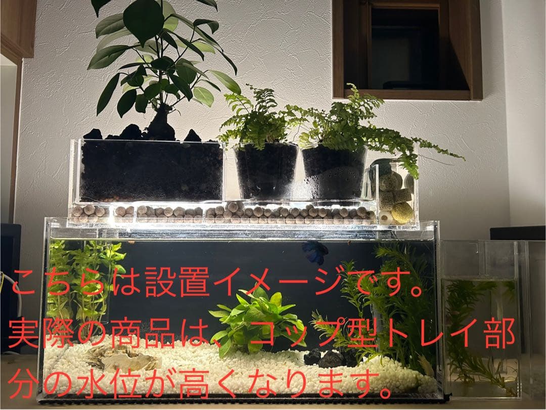 上部濾過式アクア水槽　アクアリウムにも最適！