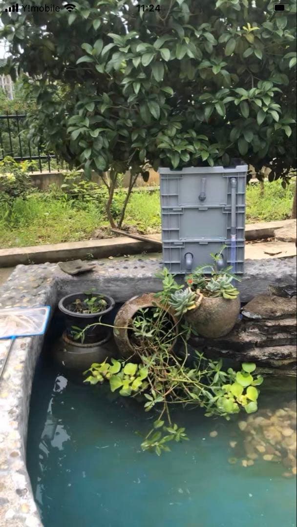 実店舗あり！ポンプ付きセット大型水槽用一体型濾過槽 外部式濾過装置器水槽濾過