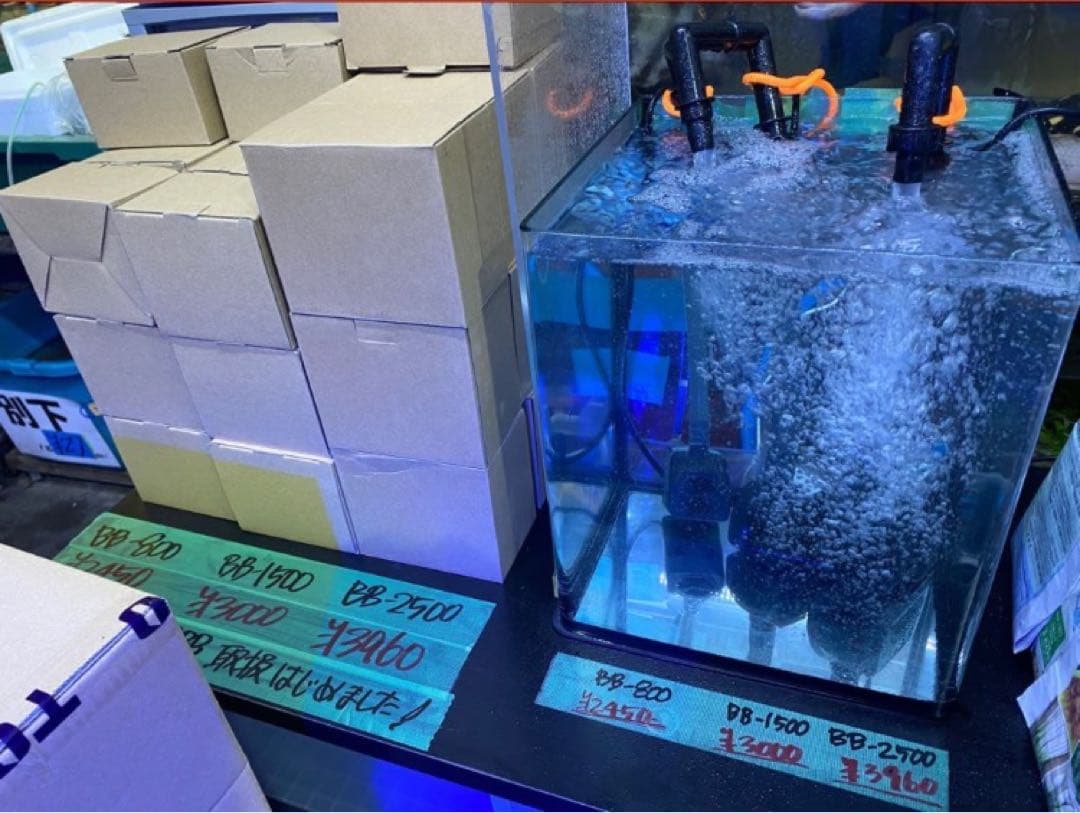 実店舗あり！ポンプ付きセット大型水槽用一体型濾過槽 外部式濾過装置器水槽濾過