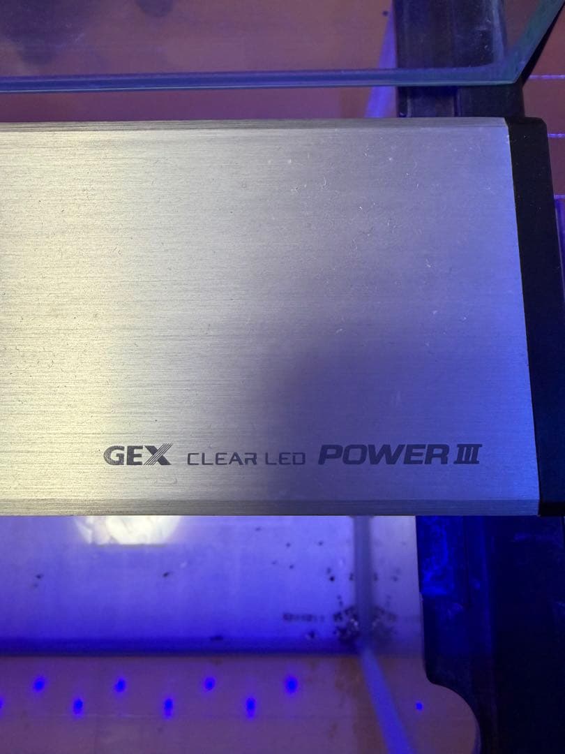 直接引き取り6045ガラス水槽 リフジウム水槽 その他おまけ付き