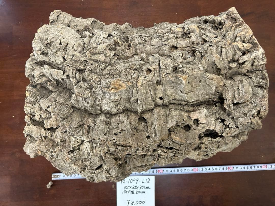 ポルトガル産コルク樹皮ＰＬ-1029-Ｌ12