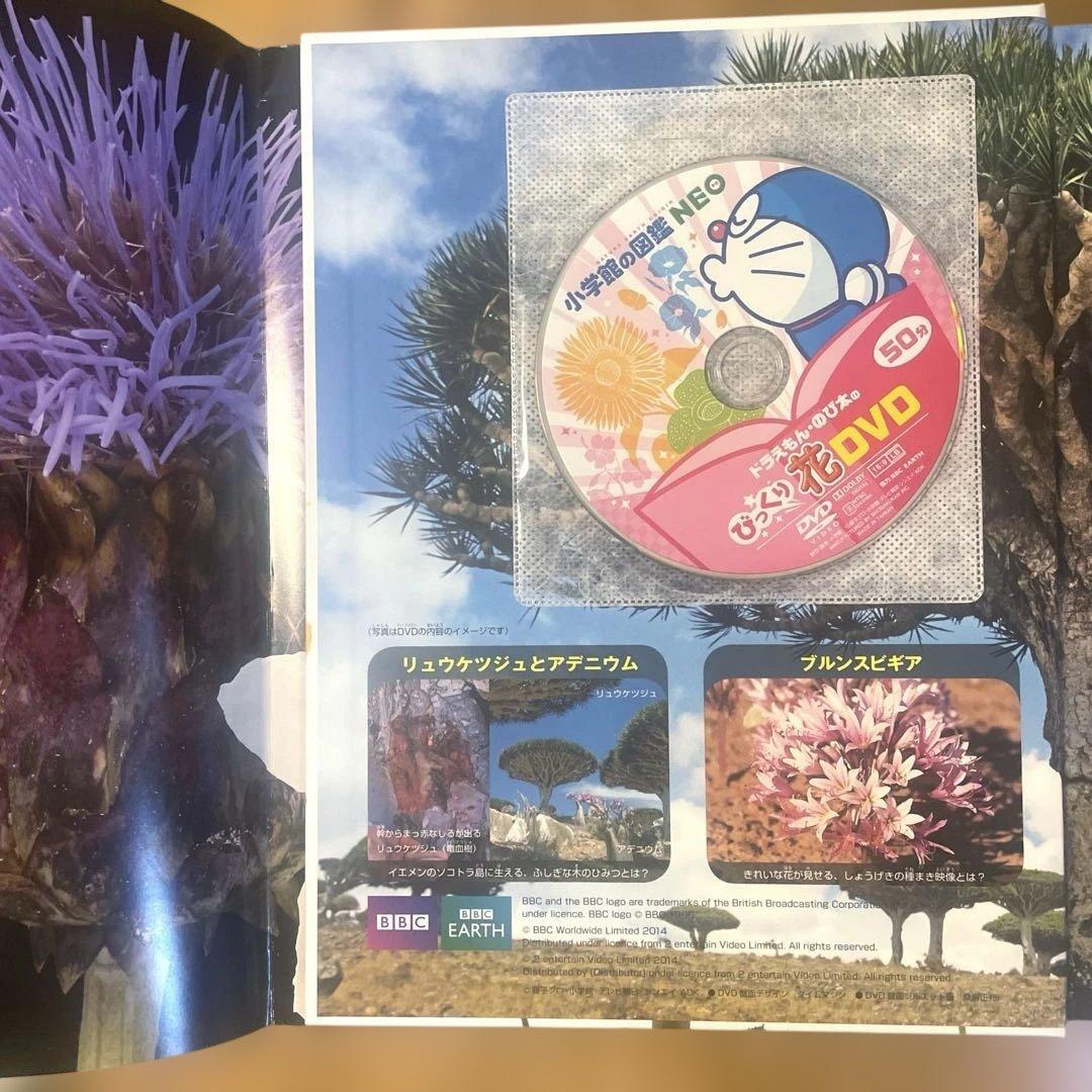 小学館の図鑑NEO 10冊セット 全てカバー付 【DVD付　未開封8冊】