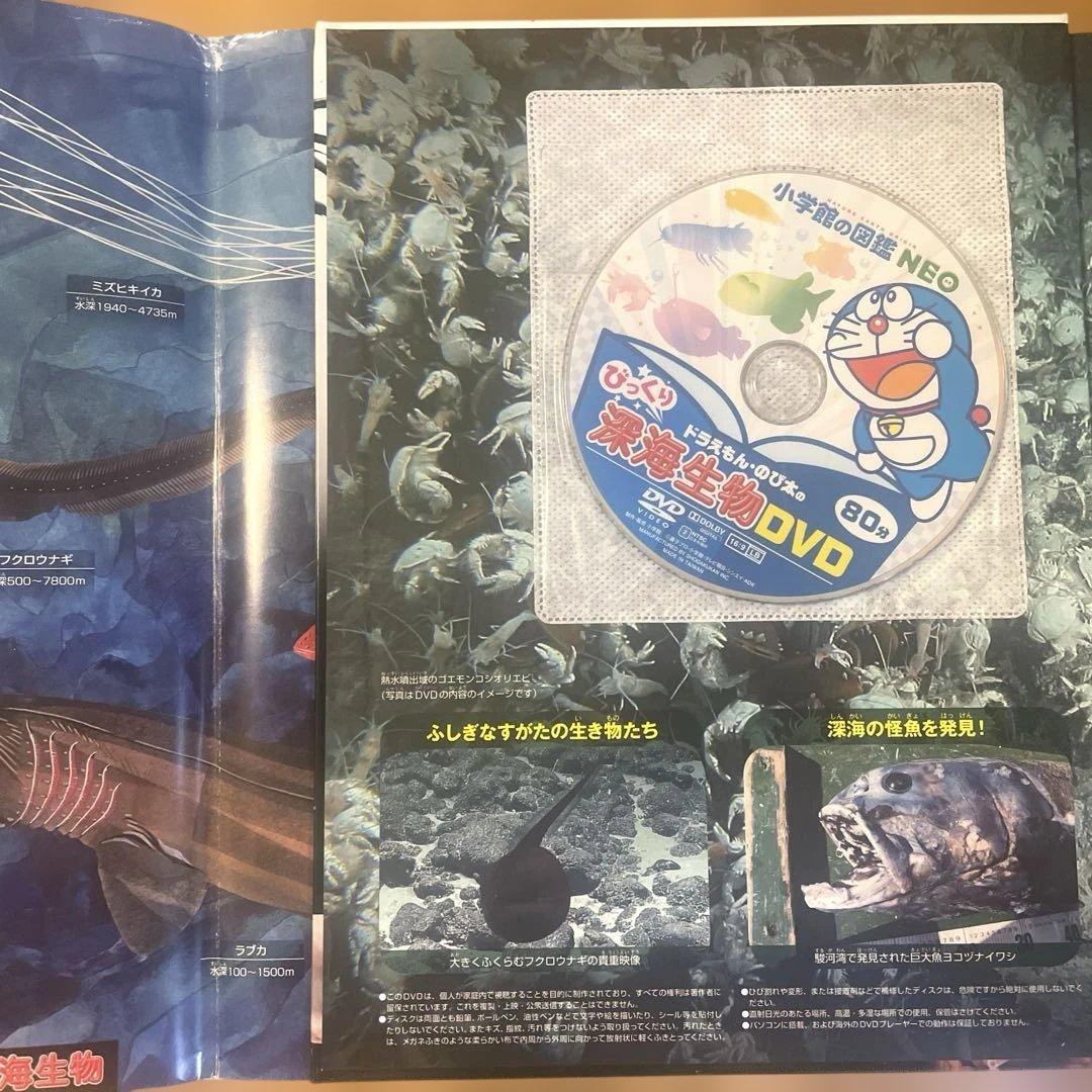 小学館の図鑑NEO 10冊セット 全てカバー付 【DVD付　未開封8冊】