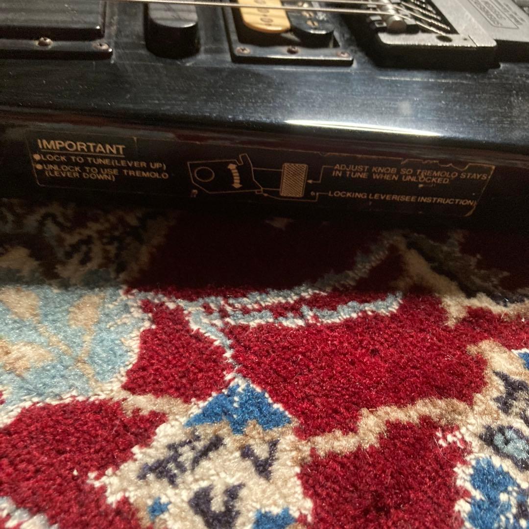 レア　Spirit By Steinberger GT-PRO スタインバーガー