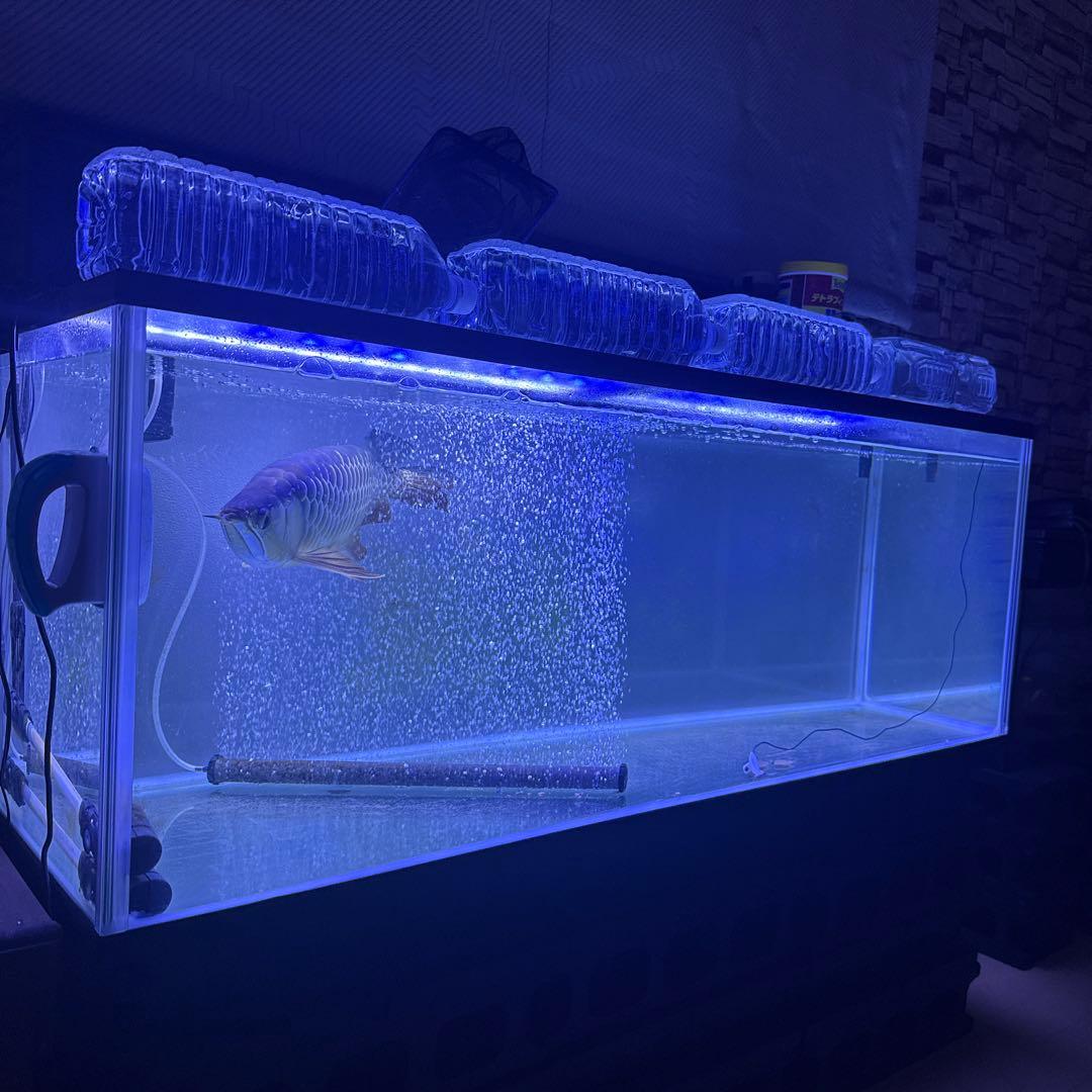 1200 450 450 水槽　買ってから半年　群馬　引き取り限定