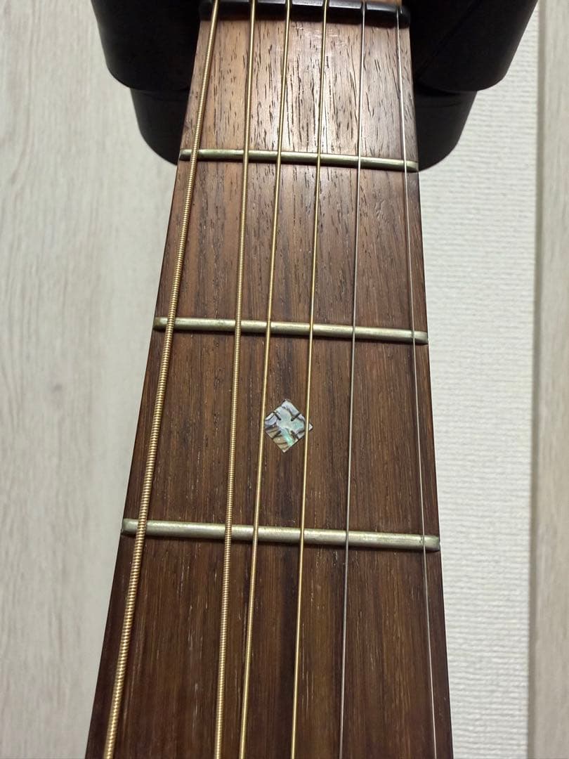 ギター UIUI ColeClark FL2EC RDBW FatLady2