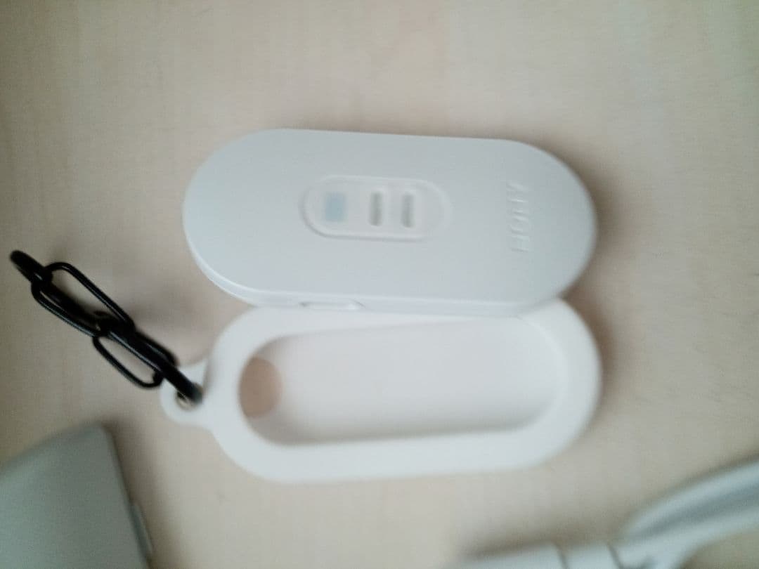 SONY REON POCKET PRO RNPK-P1 レオンポケット プロ