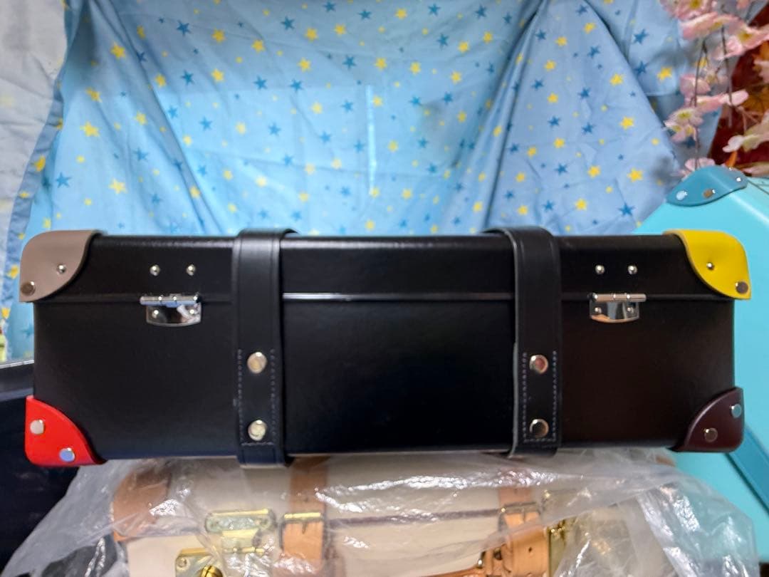 グローブトロッター　ポールスミス　　２ホイール　２０インチ