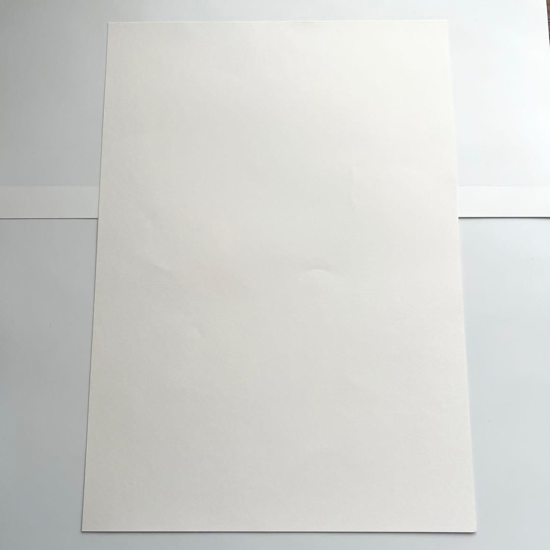 吸血鬼すぐ死ぬ　ドラルク　ジョン　複製原画