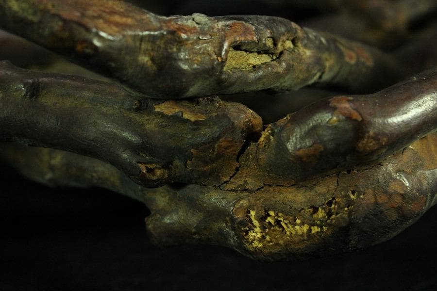 奇木 時代 根木 飾り台 自然木 55cmx30cm(K-RC951)