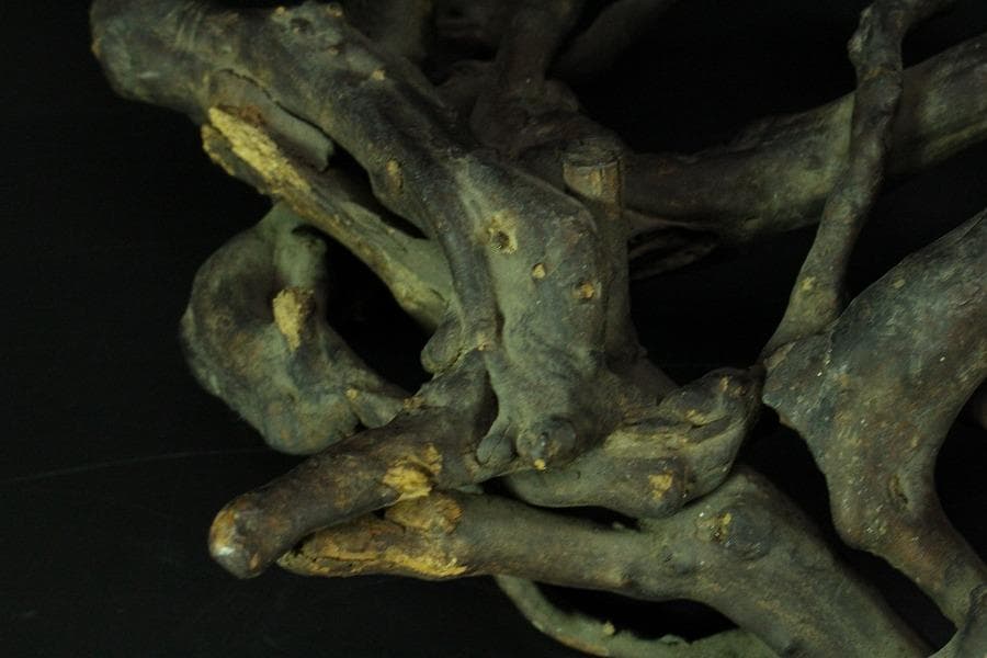 奇木 時代 根木 飾り台 自然木 55cmx30cm(K-RC951)