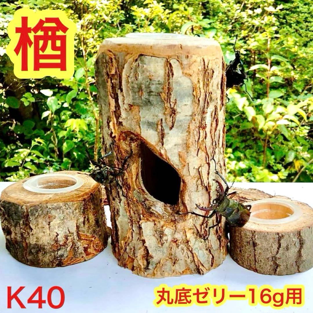 Ｓたけ Ｒくん様 リクエスト 5点 まとめ商品