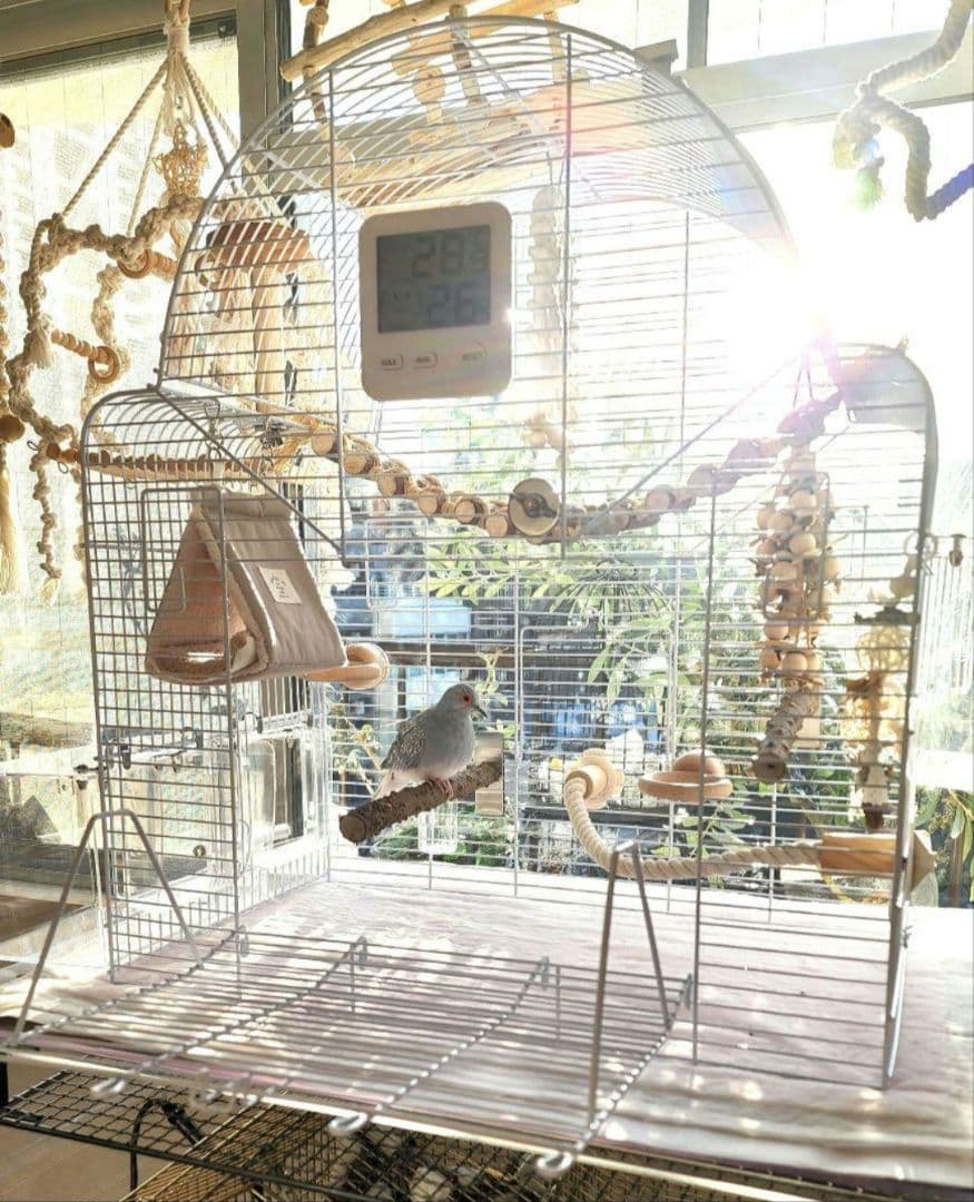 新品 ③ 大型 バードケージ 鳥かご ホワイト インコ 小鳥 ヨーロッパ輸入品